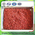 New Harvest Agriculture Food Dried Goji Berry Fruits                        
                                                Quality Choice